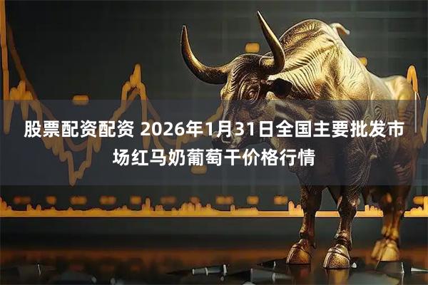 股票配资配资 2026年1月31日全国主要批发市场红马奶葡萄干价格行情