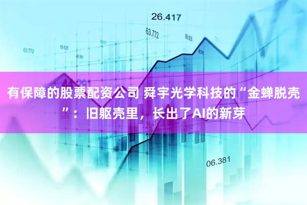 有保障的股票配资公司 舜宇光学科技的“金蝉脱壳”：旧躯壳里，长出了AI的新芽