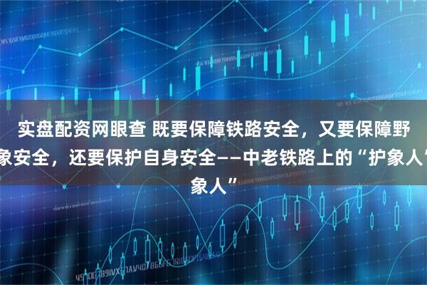 实盘配资网眼查 既要保障铁路安全，又要保障野象安全，还要保护自身安全——中老铁路上的“护象人”