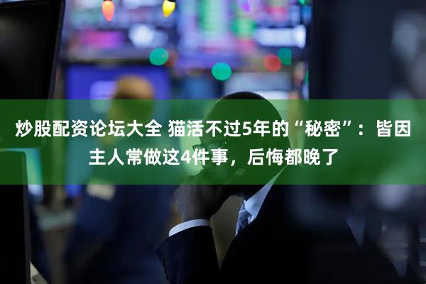 炒股配资论坛大全 猫活不过5年的“秘密”:皆因主人常做这4件事,后悔都晚了