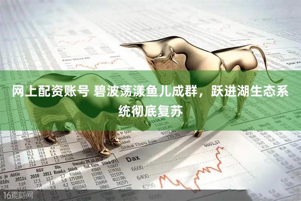 网上配资账号 碧波荡漾鱼儿成群，跃进湖生态系统彻底复苏